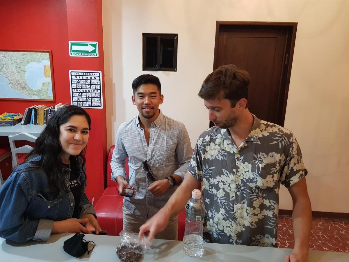 Hostal De Las Americas Oaxaca Eksteriør bilde